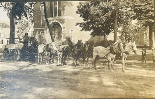 Antica foto cavalli carro